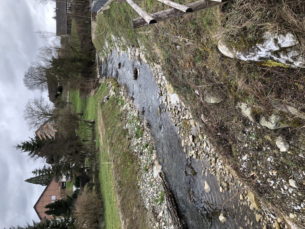 Revitalisierter Jonenbach auf Höhe Abschnitt 7.